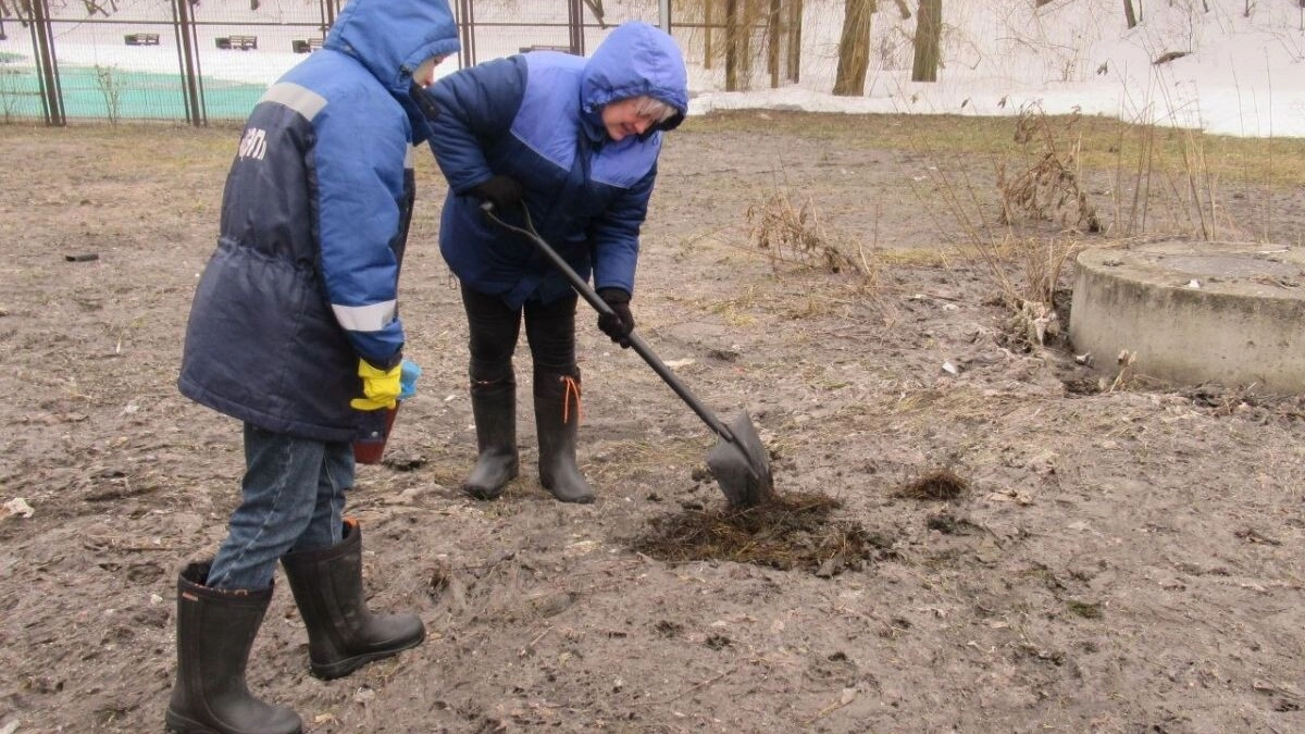 Ядовитый грунт нашли у Спортивного сквера в Каменном логу