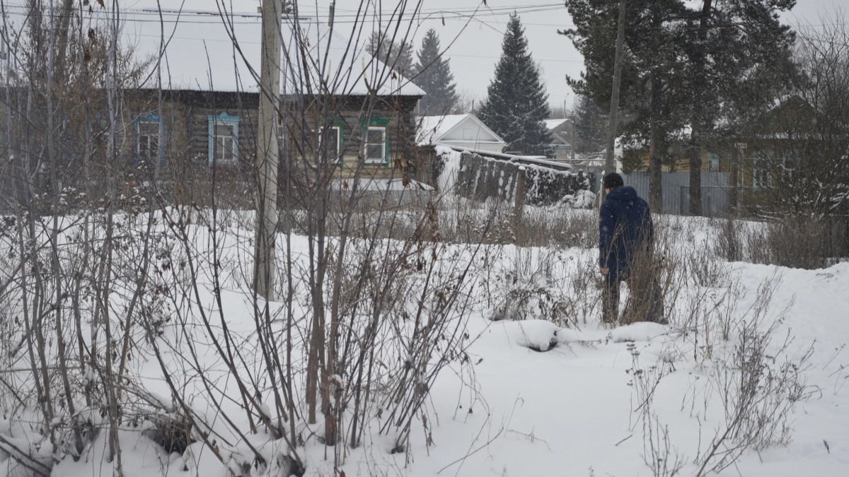 Люди разучились радоваться простым вещам: стихотворение Рубцова, которое объясняет всё