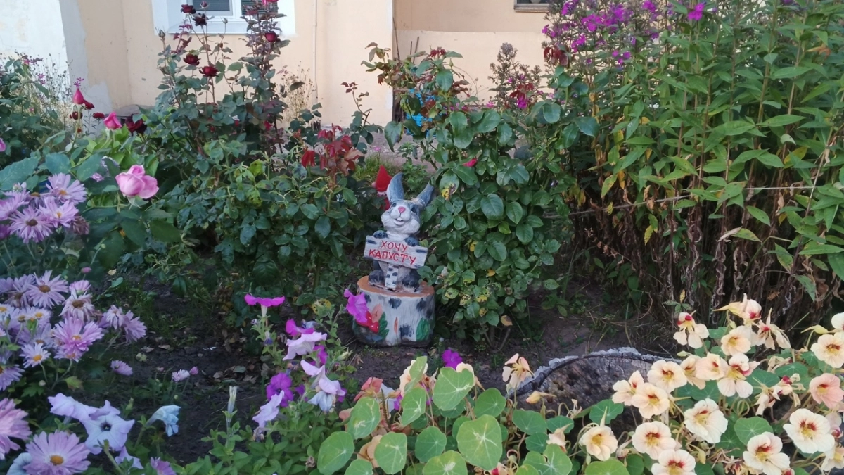 Бросаю семена в землю в марте — в июне в саду цветущий ковер: 3 многолетника, которые пора сеять прямо сейчас