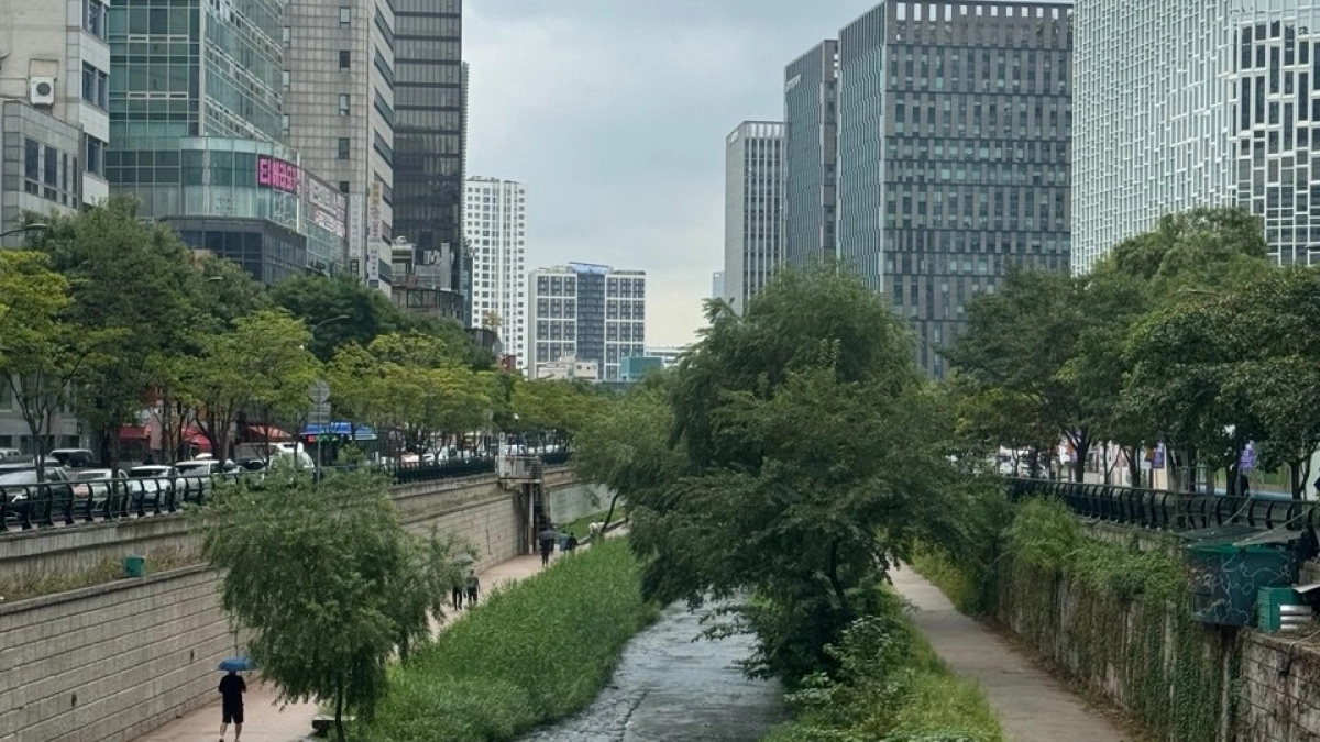 Куда уезжают из России: 5 стран, где живет много россиян – честные отзывы о переезде