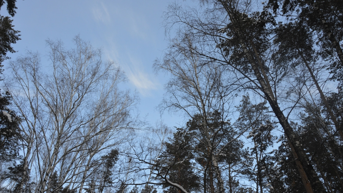 В Липецке 29 марта ожидается теплая и солнечная погода