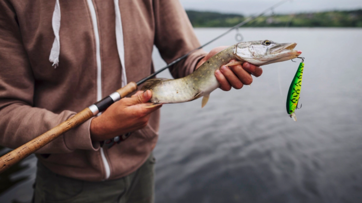 В Липецкой области сняли пятимесячный запрет на рыбалку