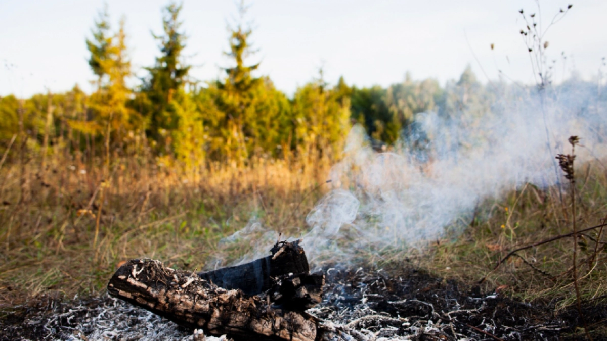 МЧС Липецкой области предупредило о начале пожароопасного сезона