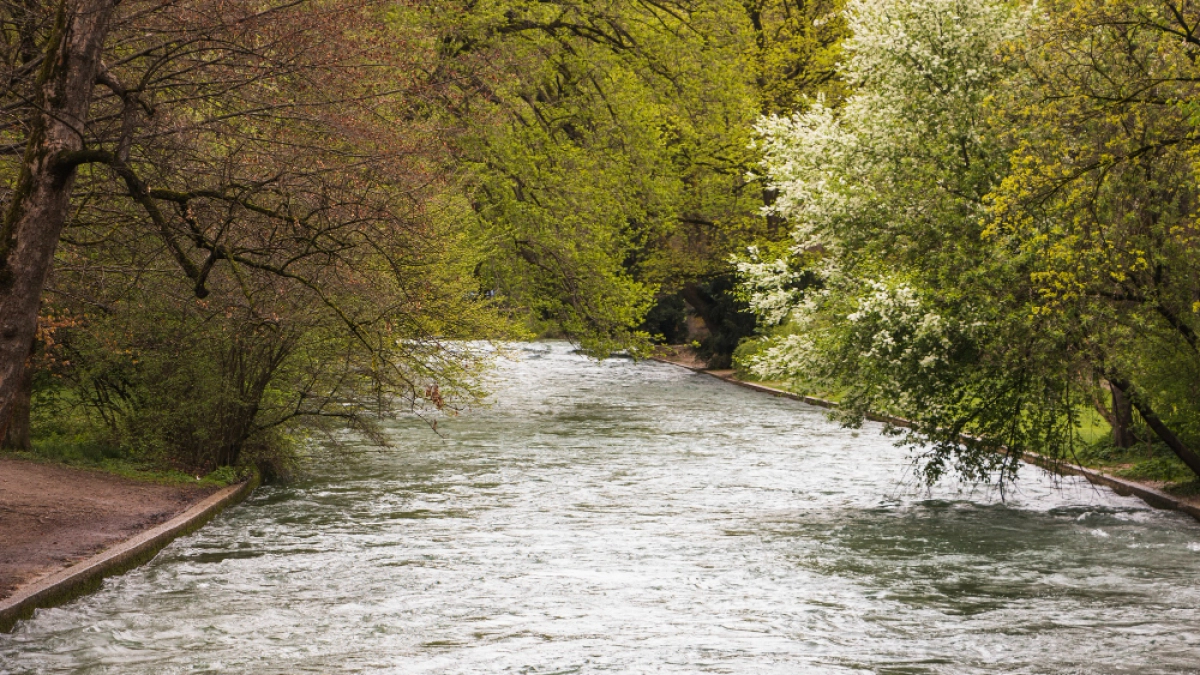 Паводок на Дону затопил дороги в Данковском и Лебедянском округах