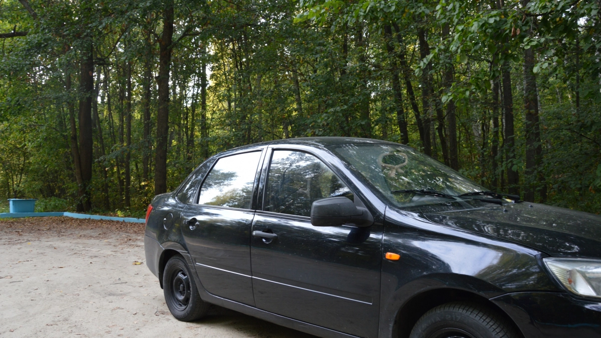 Верховный суд поставил точку: этих водителей нельзя лишить прав по закону 