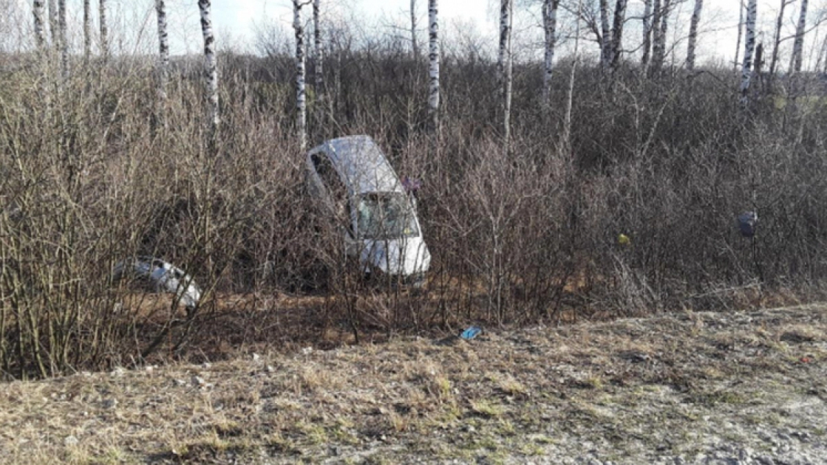 Женщина погибла в кювете на дороге в Хлевенском районе