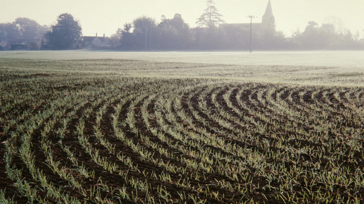 Ранняя весна подтолкнула липецких аграриев выйти в поля раньше срока