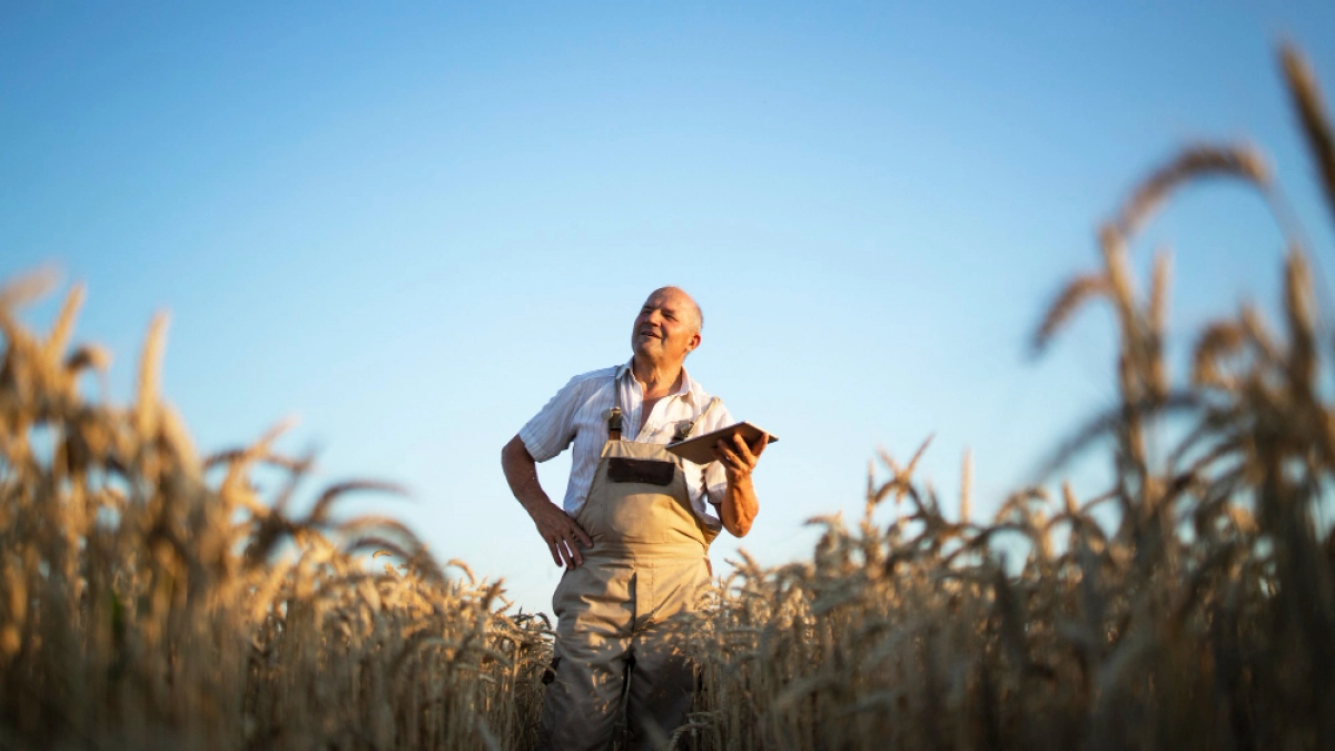 В агролаборатории Липецка провели День открытых дверей для аграриев