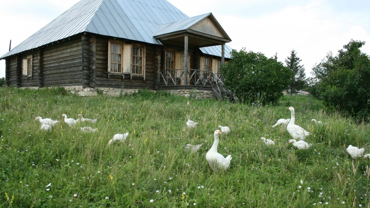 Усадьба Бунина в Озёрках получила грант на цифровой проект