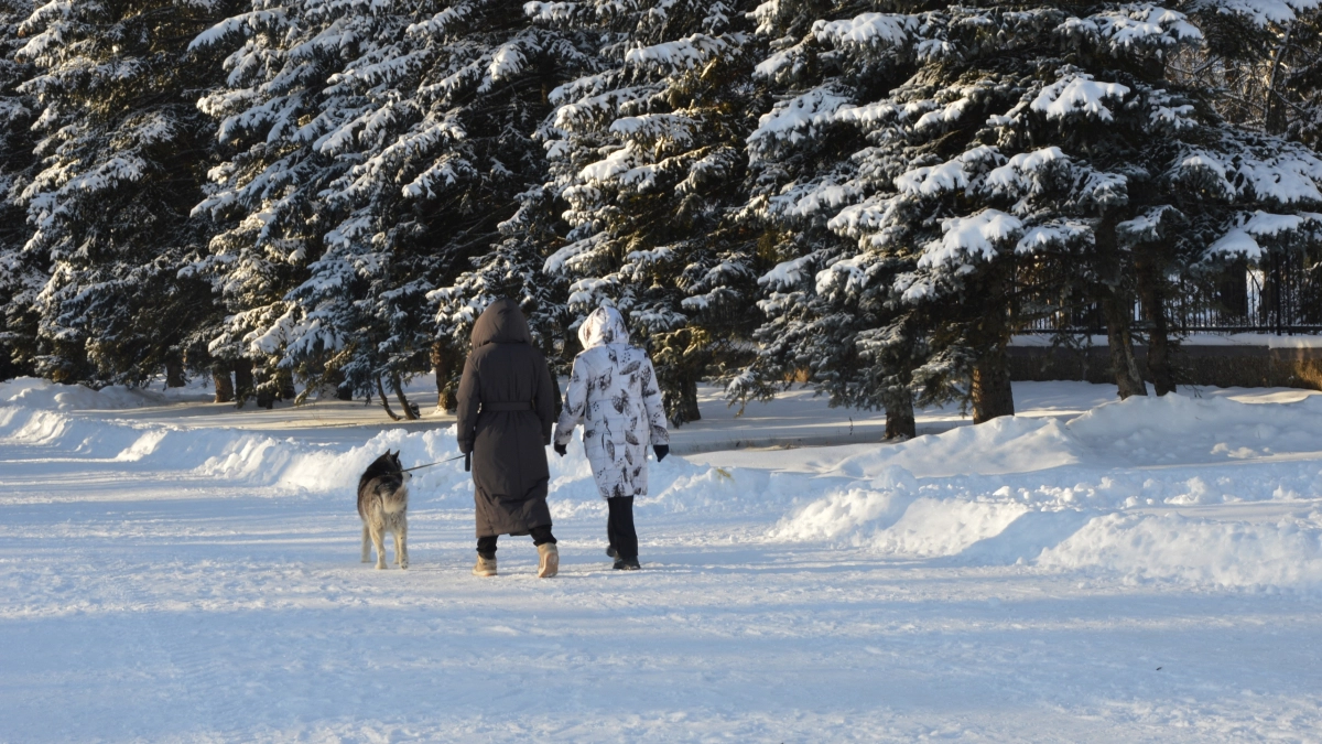 Забудьте о друзьях и родных: в старости по-настоящему нужны только эти 4 вещи