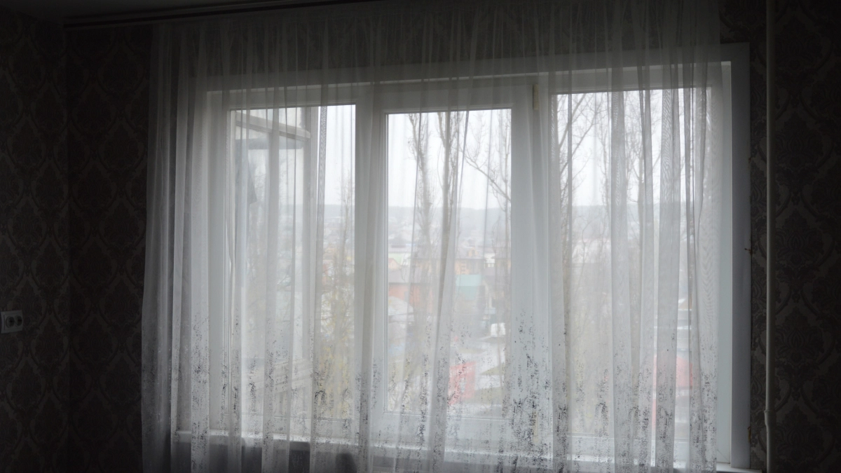 Шторы в квартире давно не в тренде: вот чем их заменяют россияне в 2026 году