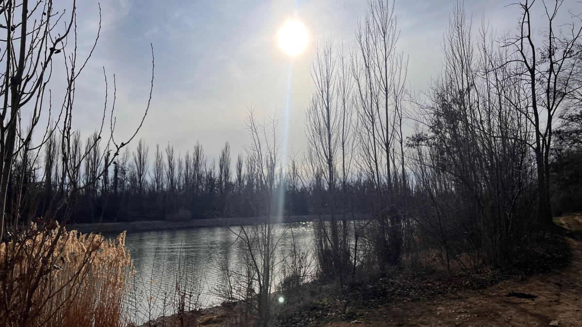«Подмосковные Мальдивы» в часе от Москвы: белый песок, бирюзовая вода и отдых за копейки