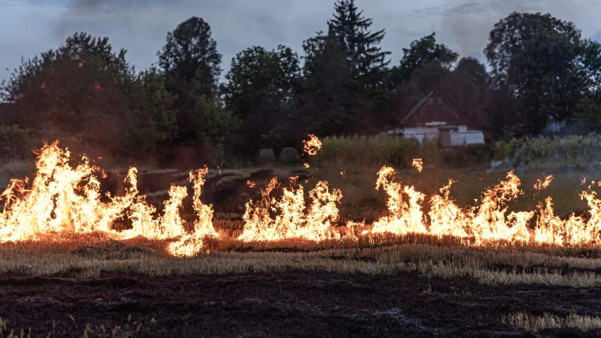 На юге региона вырос класс пожарной опасности