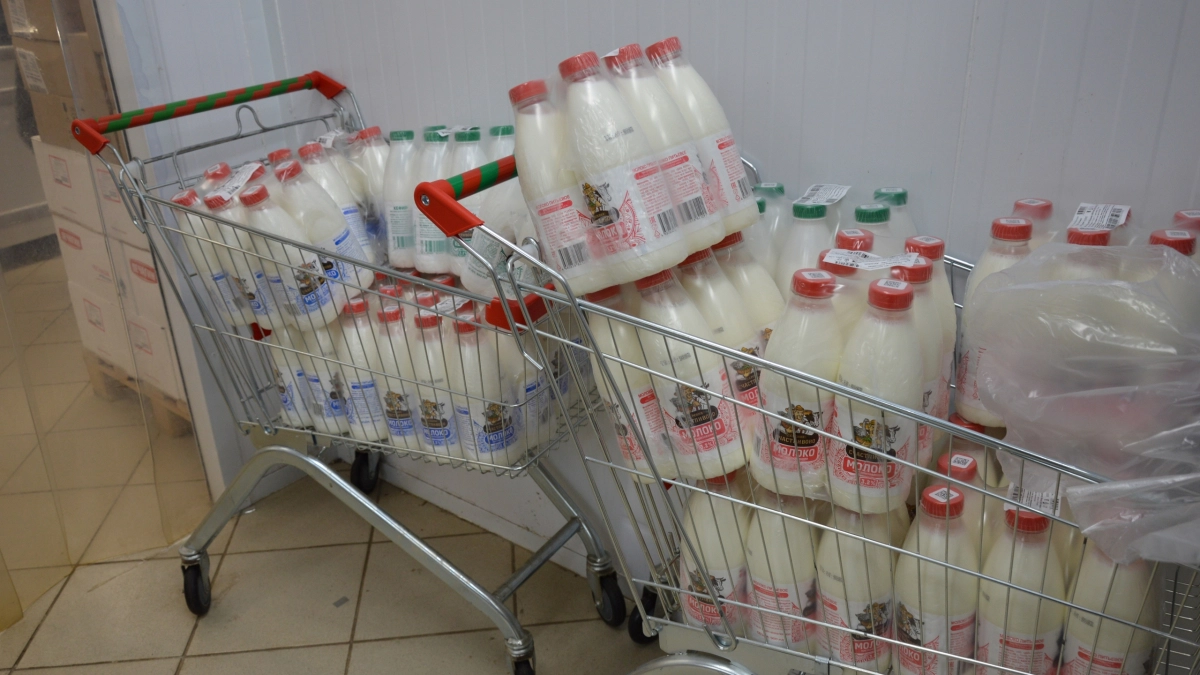 Чистый состав и знак качества: на что обратить внимание при выборе молока — топ марок 2026