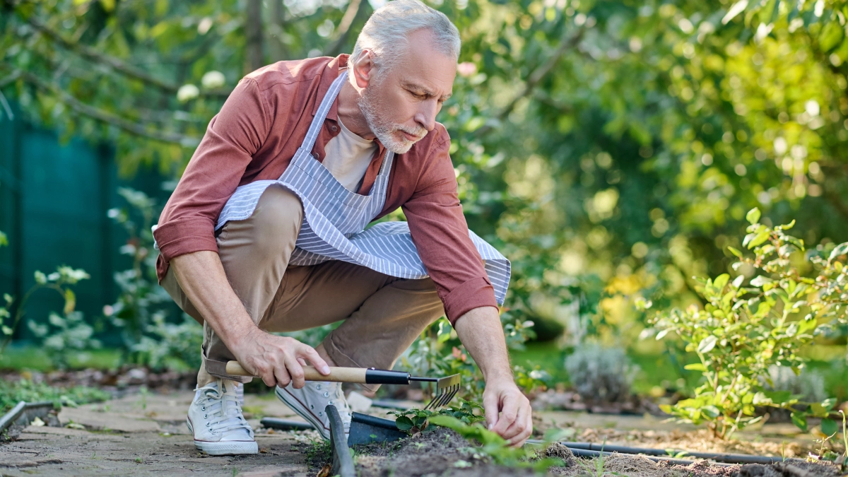 Что делать в апреле на даче? Снимаю укрытия, вношу подкормку – 5 важных дел, о которых часто забывают