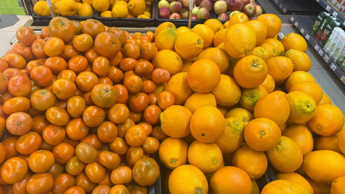 Лучше они сгниют на ветке - владелец сада в Абхазии рассказал, почему качественные мандарины не попадают в Россию