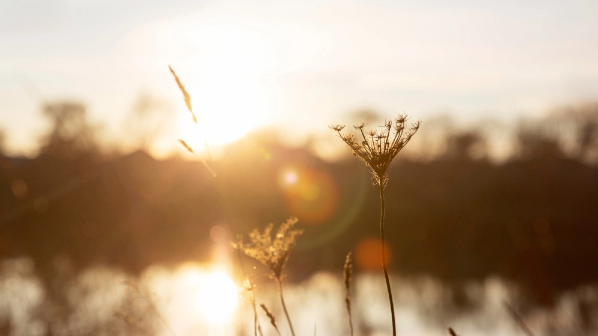 Магнитная буря накроет Липецкую область 8 апреля