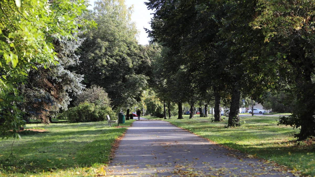 Липецкие парки приводят в порядок к лету
