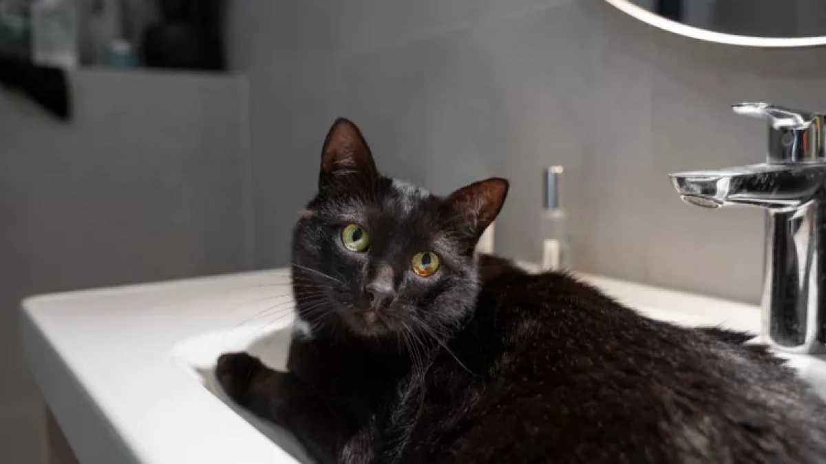 Холодную воду отключат на двух десятках липецких улиц 11 и 13 апреля