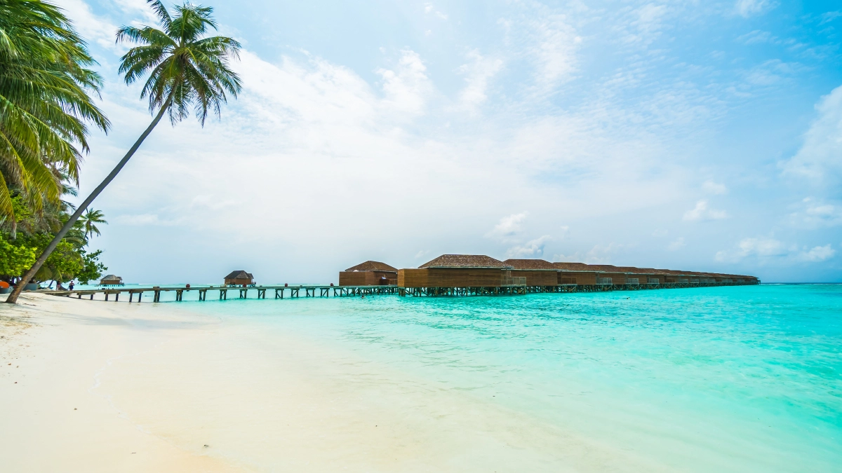 Не мёрзните в мае: вот два побережья с самым тёплым морем — там уже открыт купальный сезон