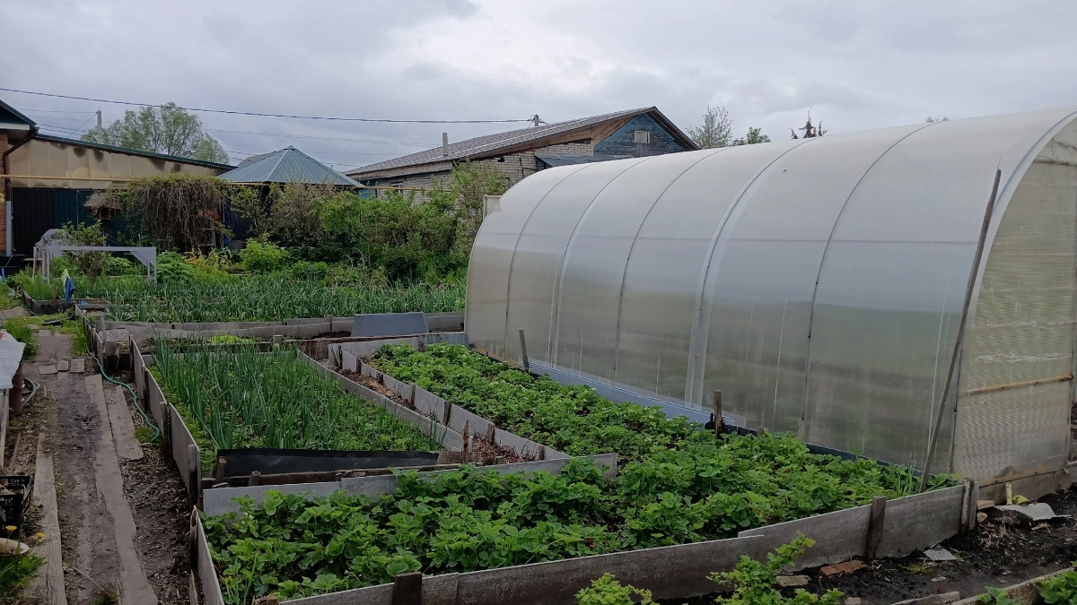 Что ни в коем случае нельзя делать на даче в 2026 году: список новых требований – вот что важно знать