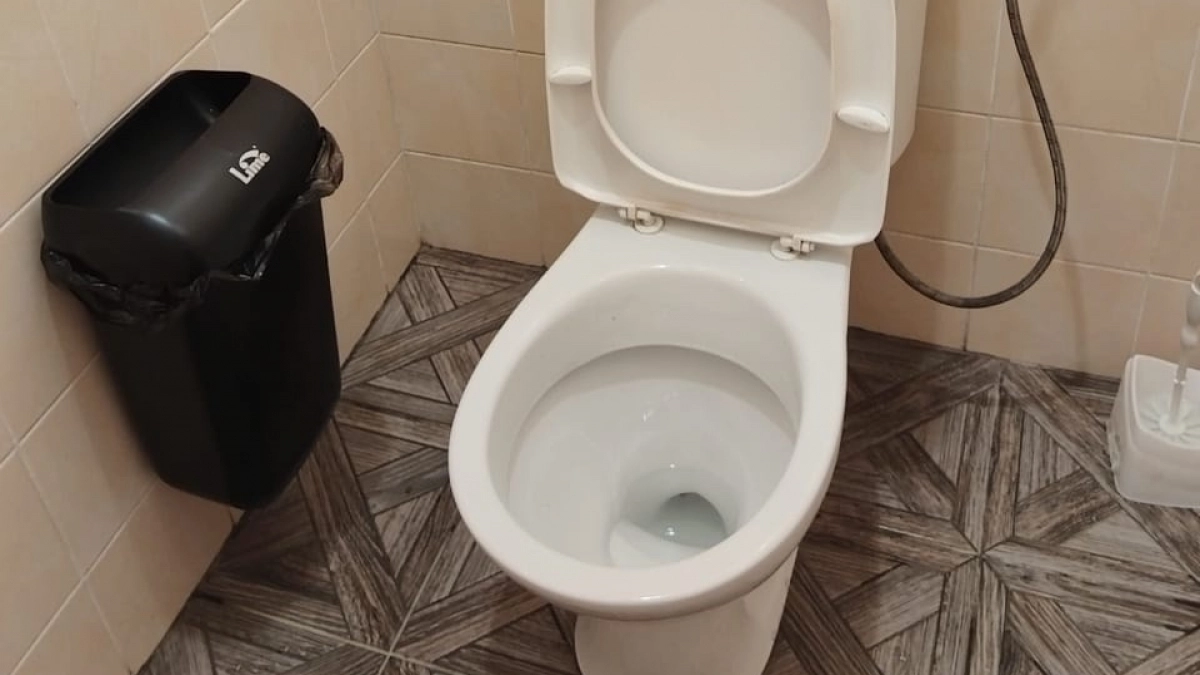 Беру это средство и очищаю унитаз всего за несколько минут: маленькую хитрость подсказала свекровь