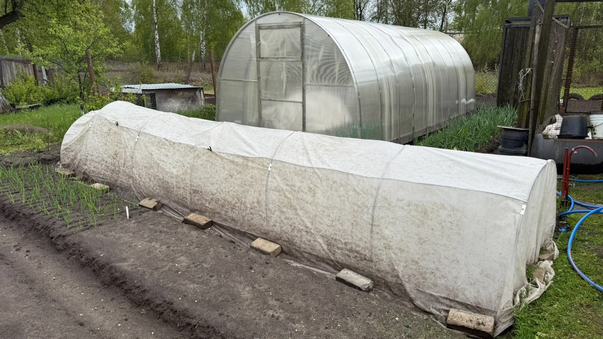 Дачников предупредили о штрафах с весны 2026: за что теперь реально накажут 