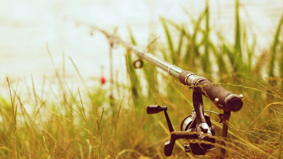 Липецкие рыбаки останутся без судака почти на два месяца