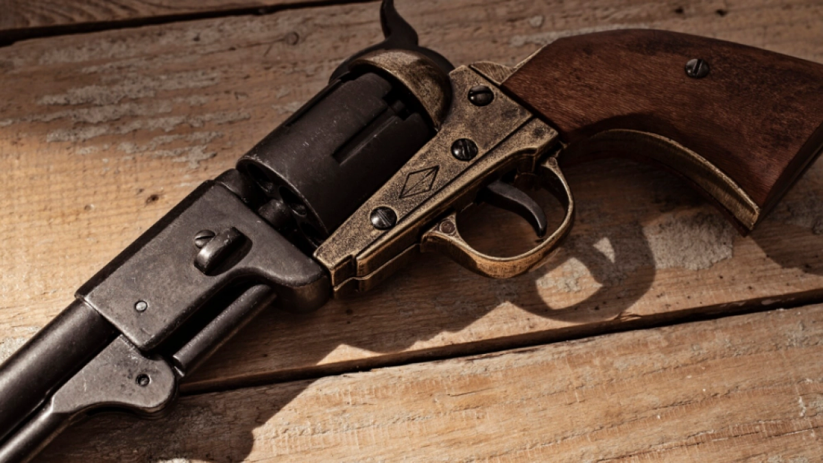 Липецкие владельцы огнестрела получили больше 2600 разрешений за три месяца