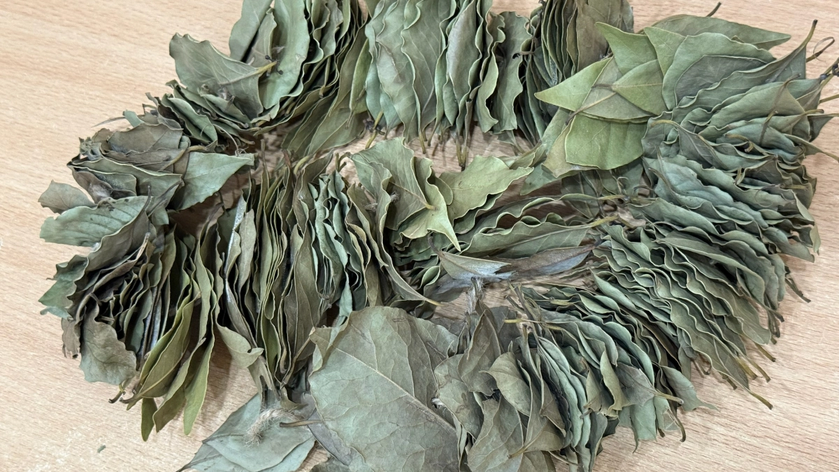 Лавровый лист засыпаю солью — и всю весну не нарадуюсь своей смекалке: полезный лайфхак для ушлых хозяек