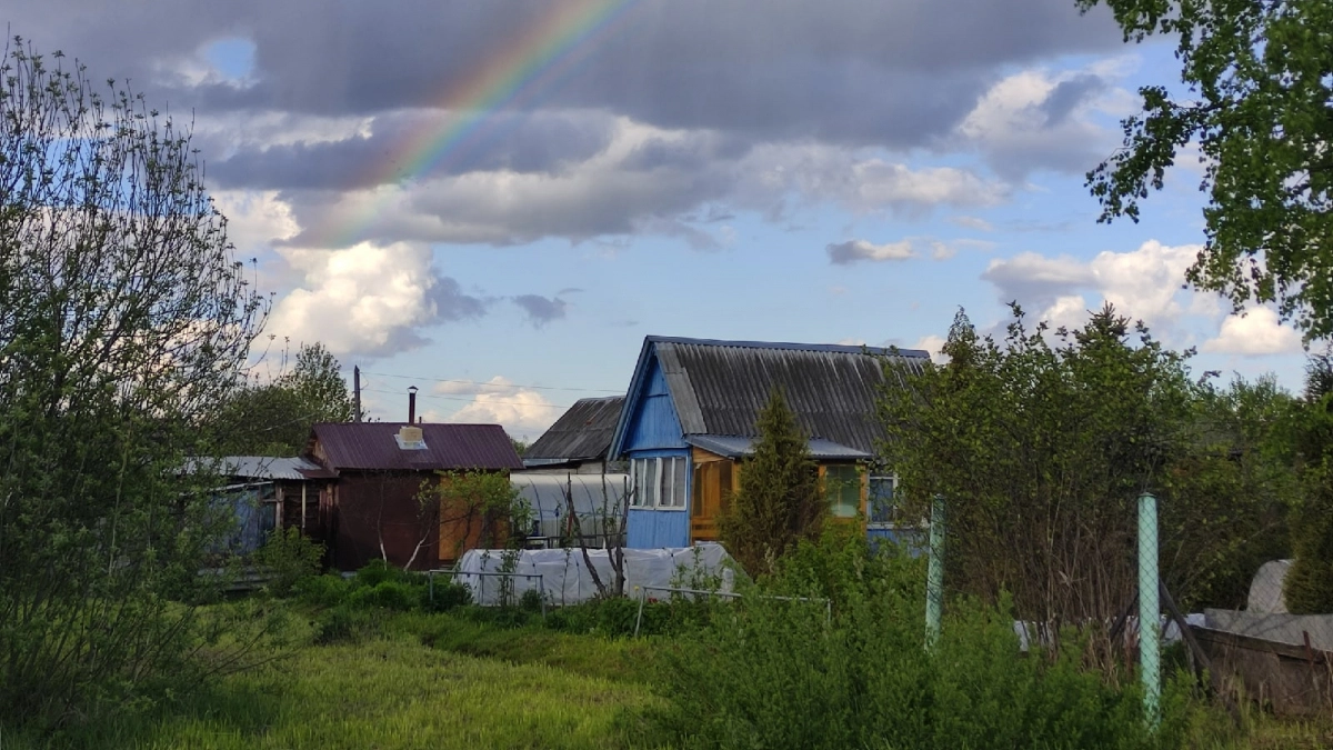 Белая ткань и палка – всё, что нужно: как эффективно проверить участок на клещей за 5 минут