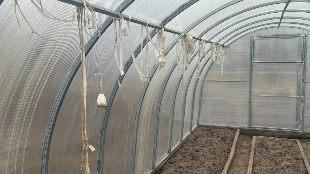 Поликарбонат уходит в прошлое: этот материал для теплицы не пылится и стоит в три раза дешевле