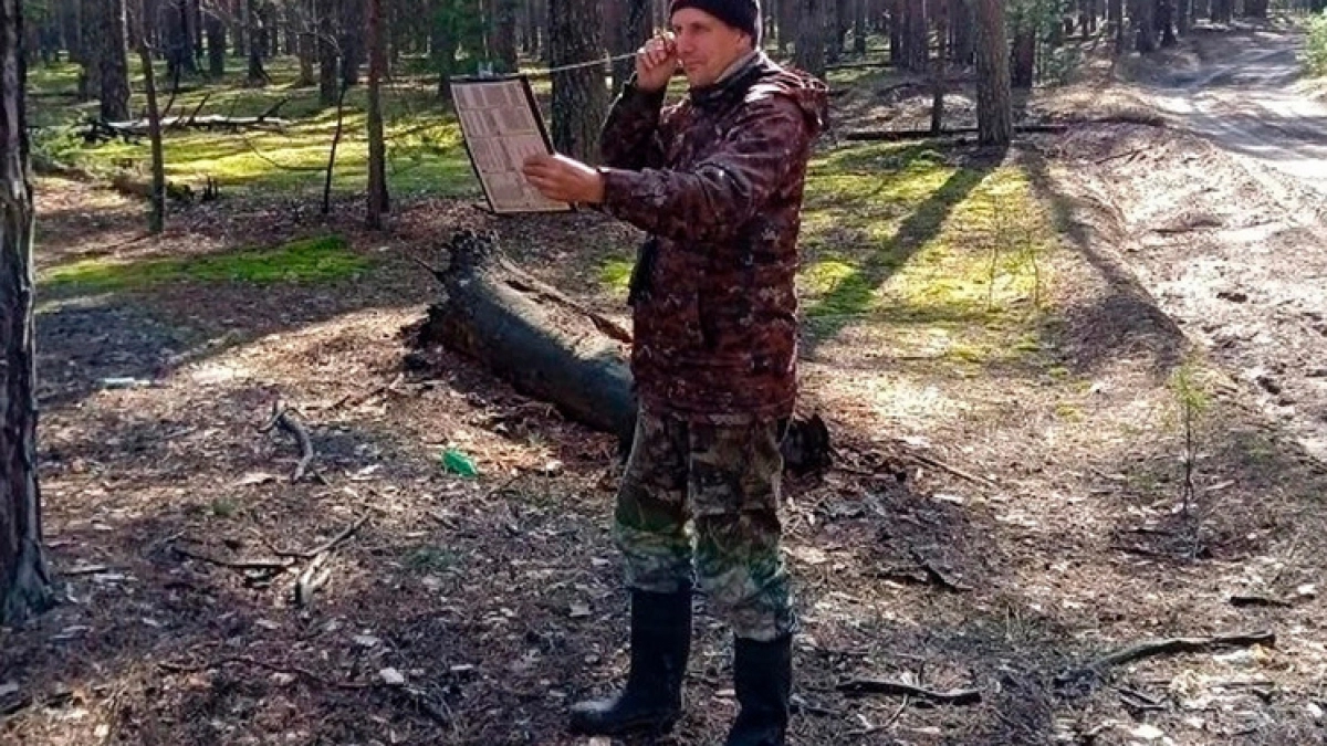 Липецкие леса проверят на болезни и вредителей