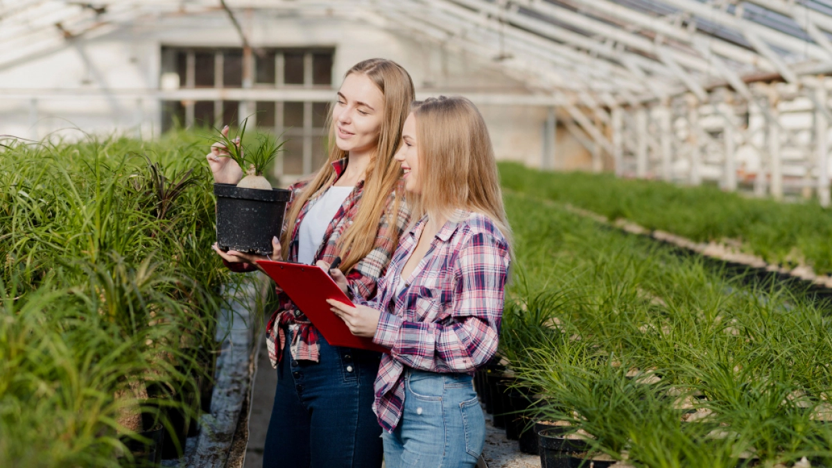 Липецкие агрошколы получат 17 новых классов