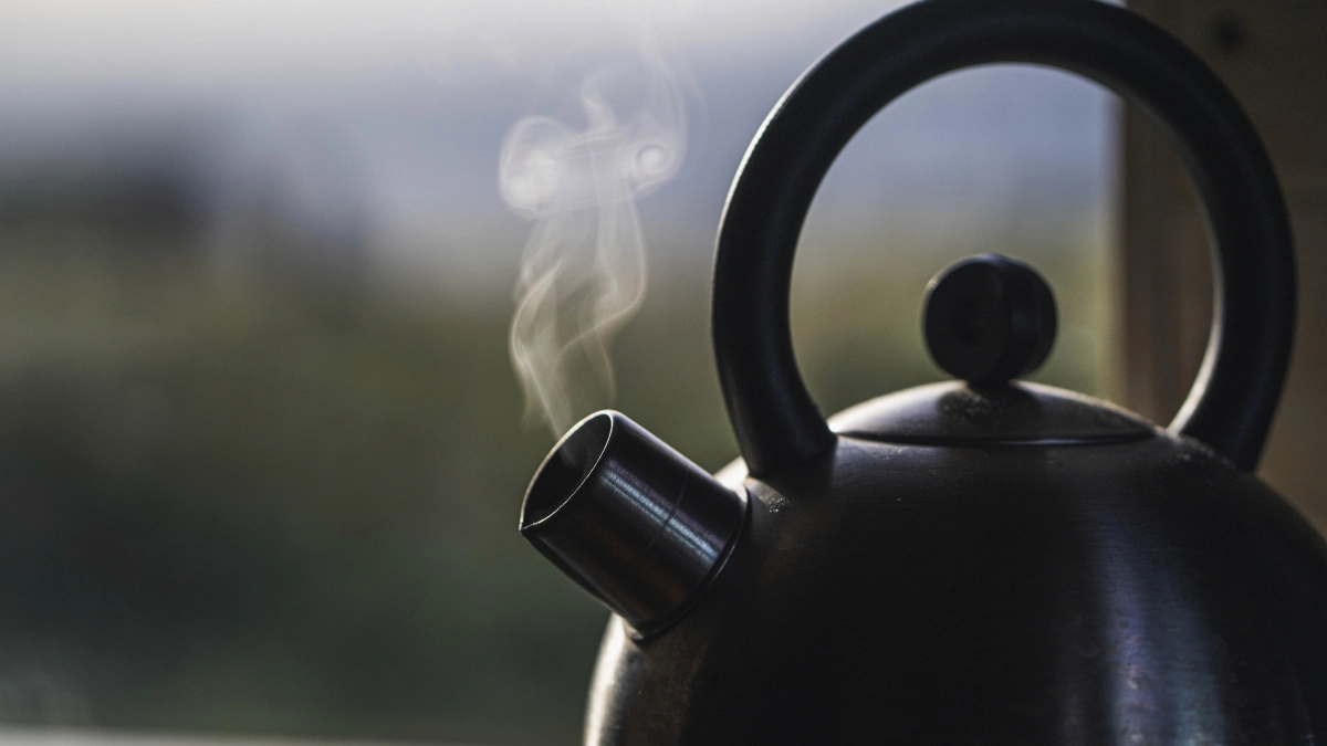 Уксус и газировка не нужны: 2 ложки в чайник — и он сверкает как после покупки