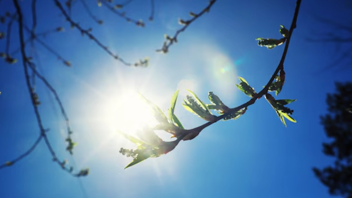 Дожди и потепление ждут липецких жителей ближайшие три дня