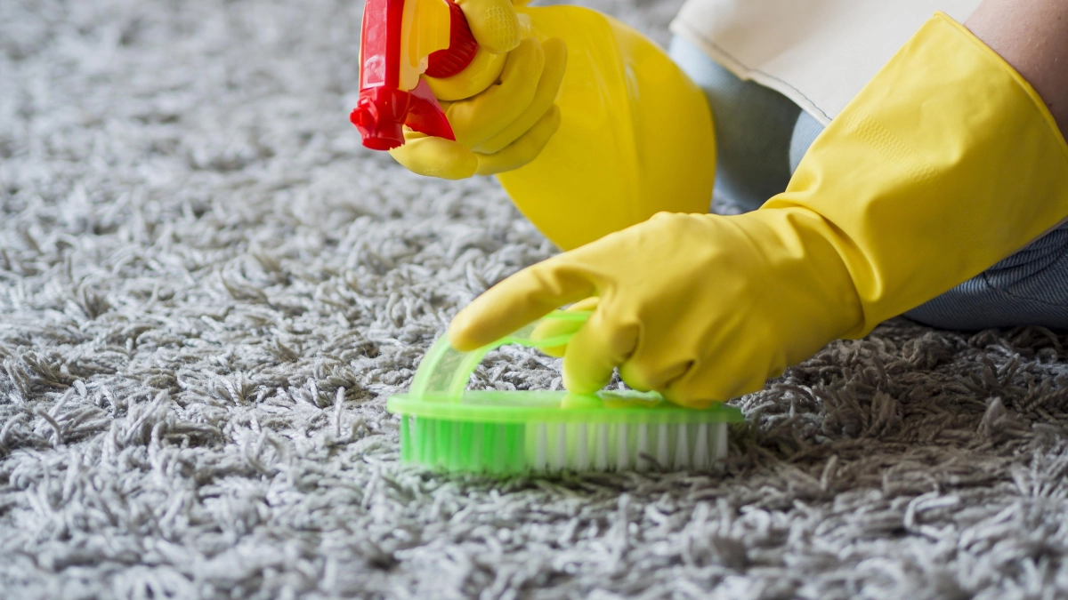 Чищу ковёр за копейки: 2 ложки на губку — и пятна исчезают лучше, чем в химчистке