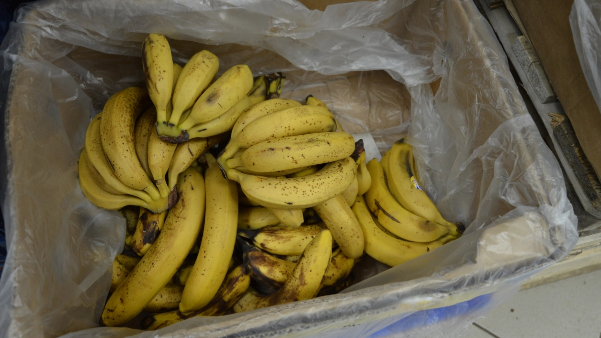 Подруга из «Магнита» рассказала об этом секрете: вот почему все сотрудники охотятся за пакетами из коробок с бананами