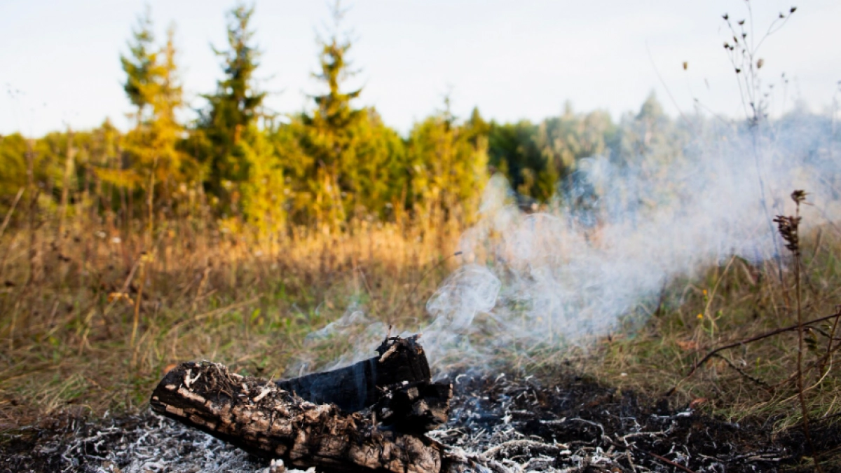 Апрельские дожди не остановили липецких поджигателей травы