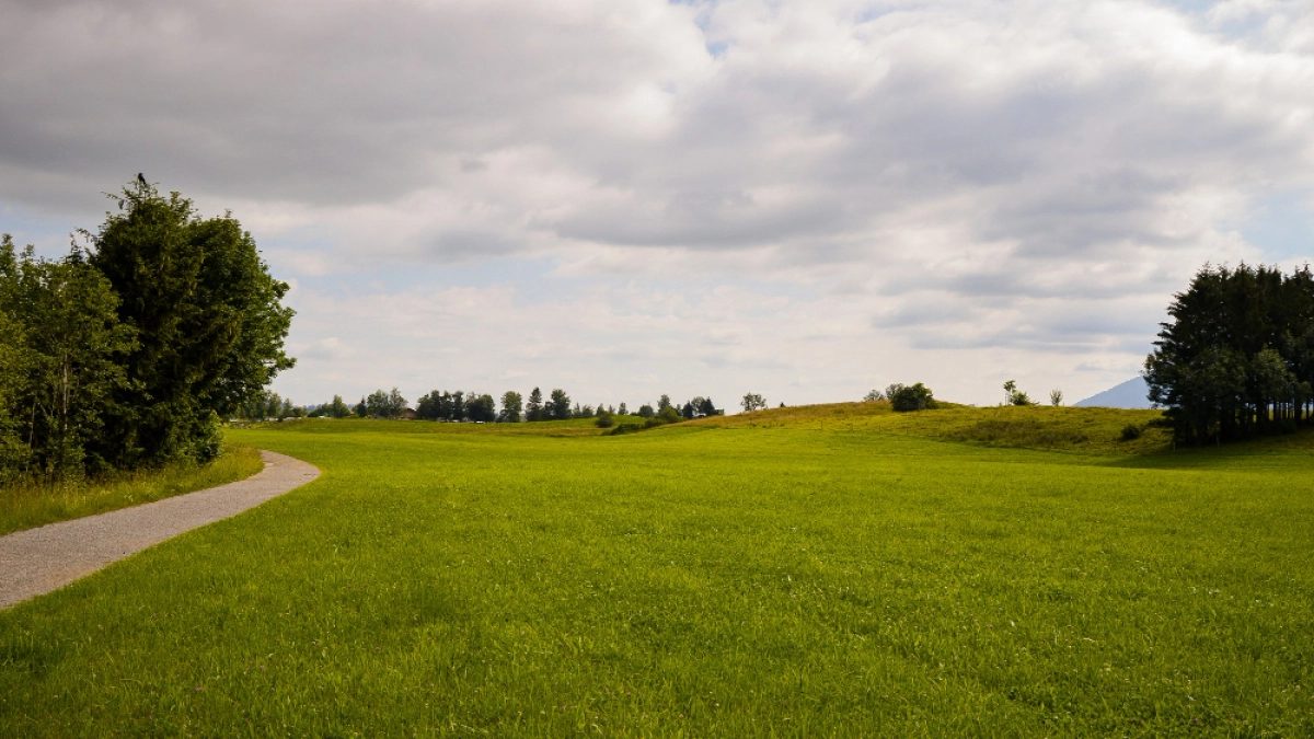 Липецкий участок в промзоне не нашёл покупателя на торгах