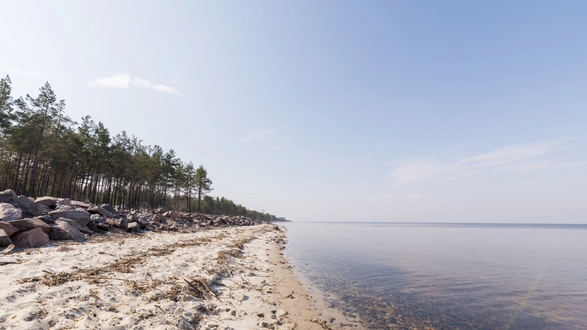 40 пляжей на Азовском море откроют в Краснодарском крае — дешевле и спокойнее, чем в Сочи