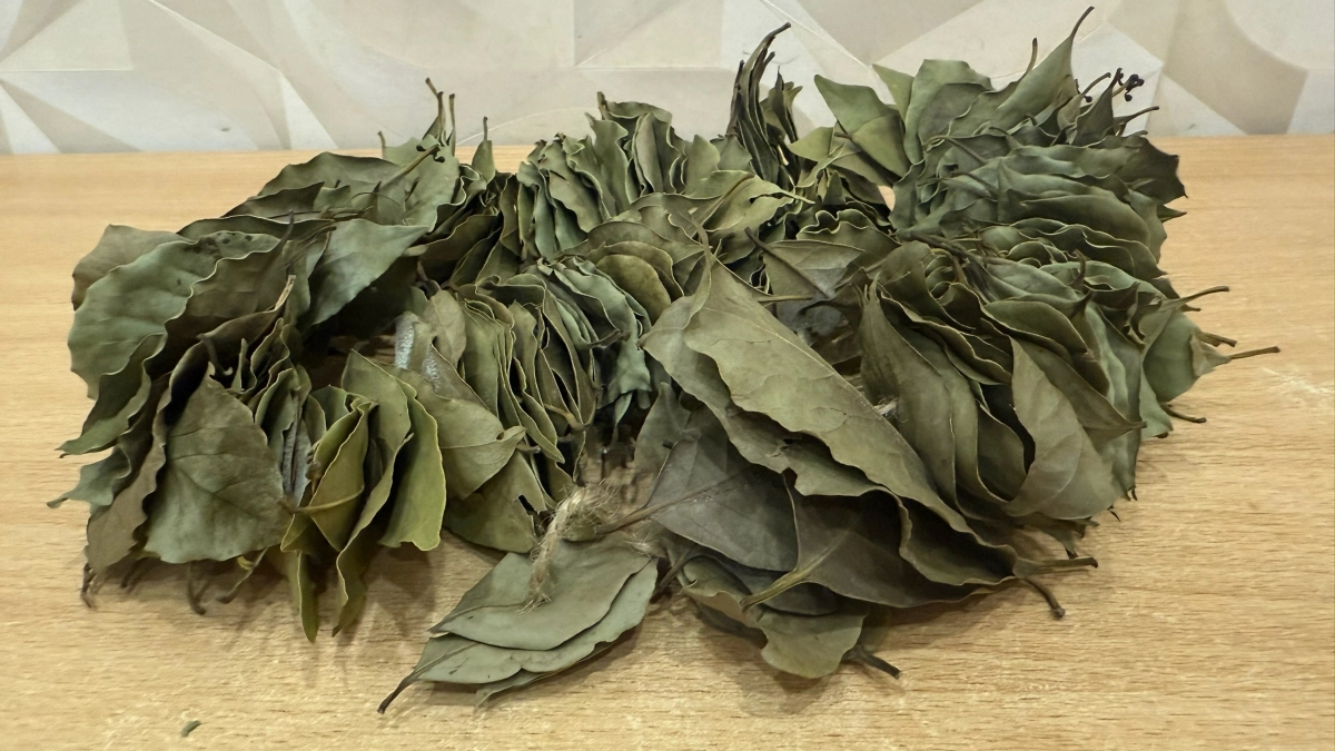 Дома каждый вечер поджигаю лавровый лист: хитрость предков, которая работает до сих пор