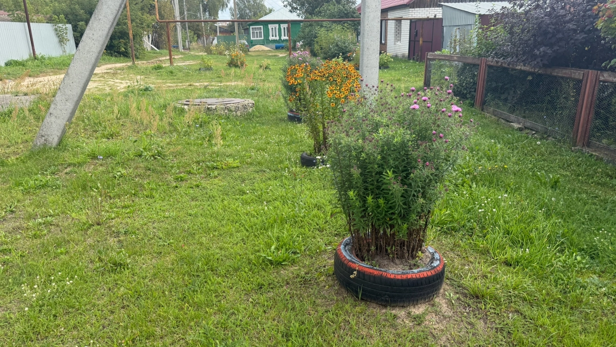 Посадил 1 раз и забыл – 7 многолетних кустарников для дачи, которые украшают сад каждый год