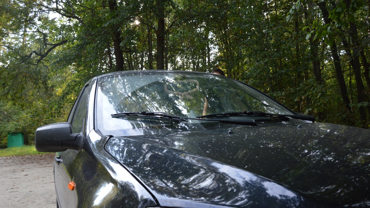 Как раньше уже не прокатит: в 2026 году часть водителей обяжут сменить номера на машине – кого это коснется