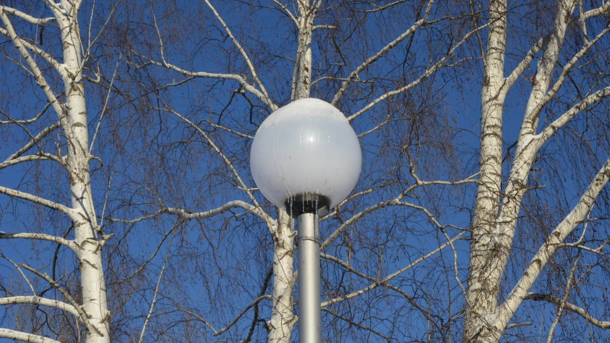 20 апреля в Липецкой области ожидается снежная погода и до -2