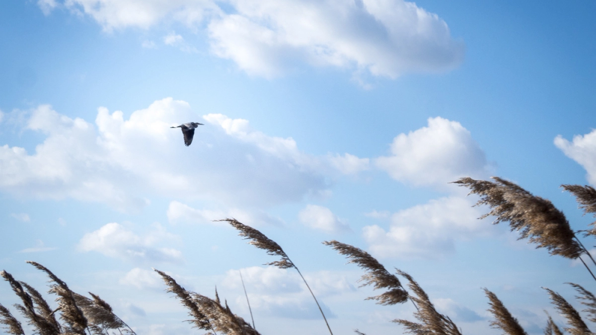 Липецкие экологи зафиксировали концентрацию вредных примесей в воздухе