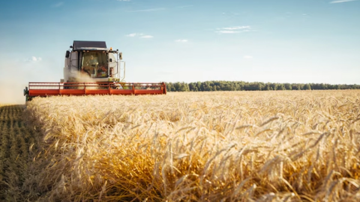 В Ельце и Льве Толстом не могут посеять ячмень и овёс из-за раскисших полей