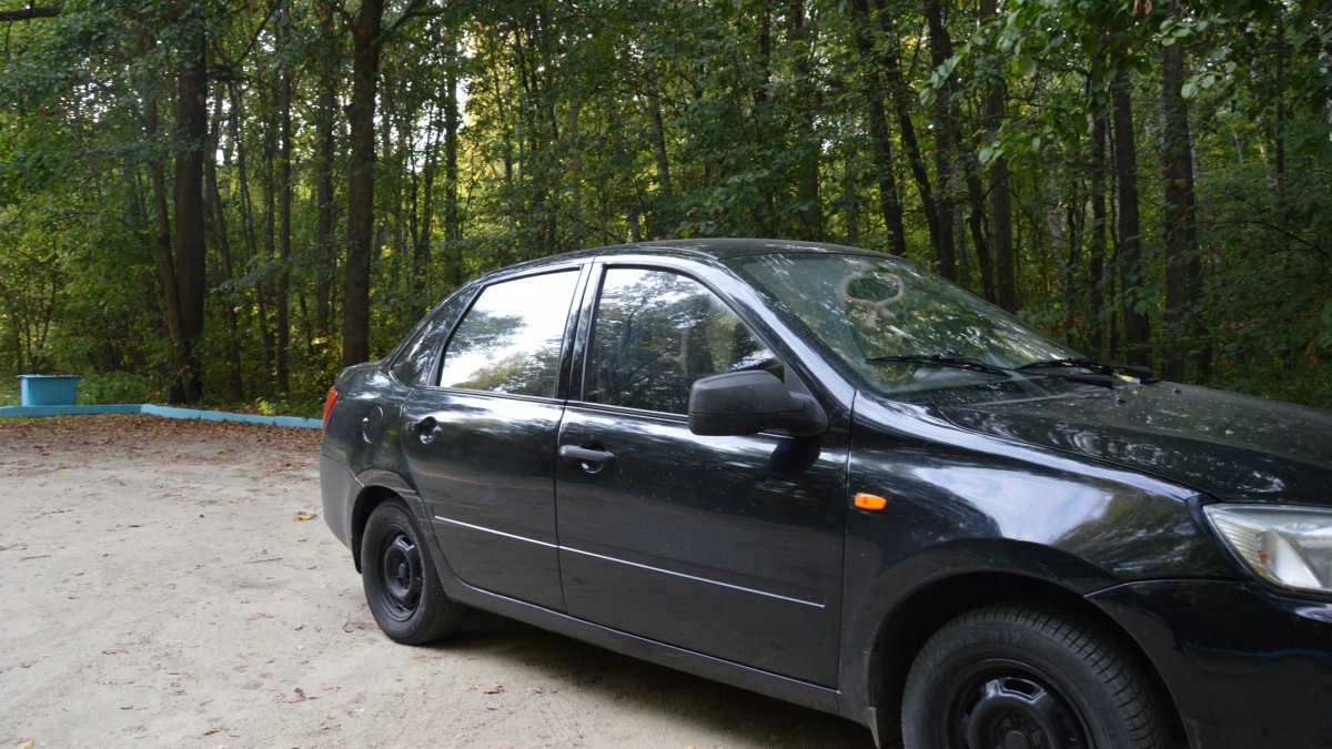 ГАИ начала штрафовать водителей старше 40 лет на 15000 рублей: всё дело в новой отметке в правах