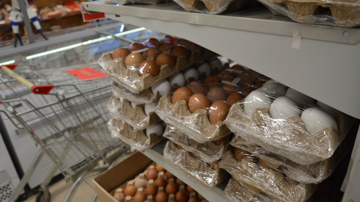 Лотки от яиц больше не выбрасываю: приспособила их в доме — в прихожей теперь сухо и чисто