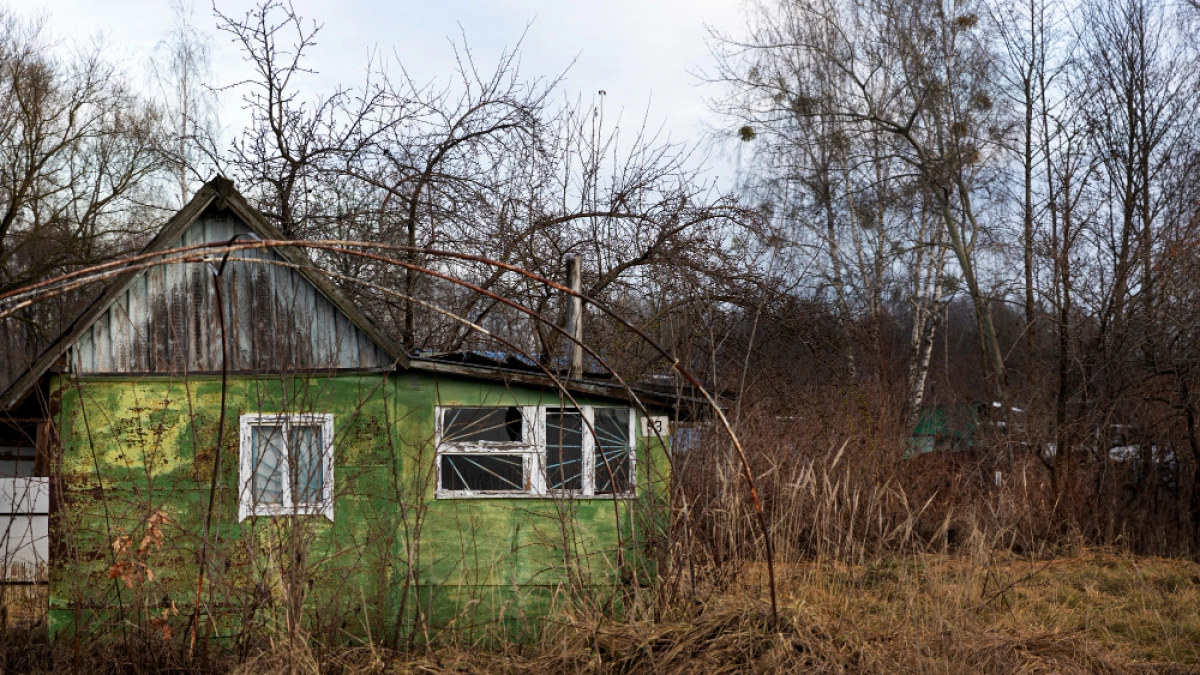 Липецкие дачники получат штрафы за заброшенные участки в СНТ